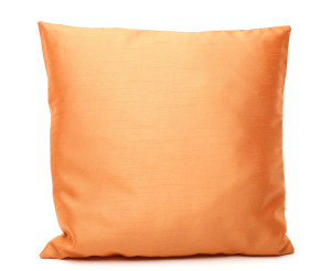 Titian Raw Silk Pillow